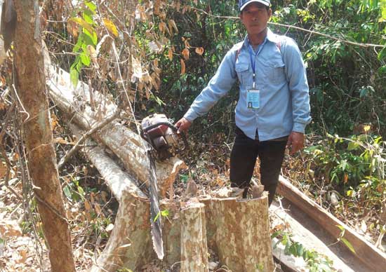 ប្រាក់ សាមឿន មេឃុំ​ស្ទឹង​កែវ​កាង​បទល្មើស​ឱ្យ​ឈ្មួញ​ធំៗ​កាប់បំផ្លាញ​ព្រៃឈើ​ខុសច្បាប់ ហ៊ាន​គំរាម​ប្តឹង​មន្ត្រី​អង្គការ​អភិរក្ស​ព្រៃឈើ​និង​អភិវឌ្ឍ​ធនធានធម្មជាតិ​ខេត្ត​កំពត​ទៀត ?