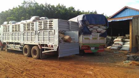 ​កសិករ​មាន​ការ​ព្រួយ​បា​រម្ម​អំពី​តម្លៃ​តំឡូង​មី​នាពេល​បច្ចុប្បន្ន​កំពុង​ធ្លាក់ចុះ​