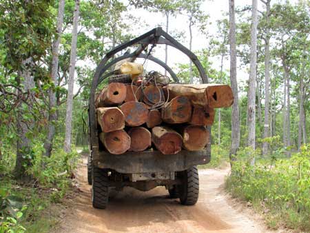 ប្រធាន​មន្ទីរ​បរិស្ថាន និង​នាយក​ដែន​ឧទ្យាន​ជាតិ​​រងការ​រិះគន់​ក្នុង​ការ​បើកដៃ​អោយ​ក្រុមហ៊ុននុ​ភាព​សុភី​ កាប់បំផ្លាញឈើ​ប្រណិត​នៅ​តំបន់​ព្រះរាជក្រឹត​អនុក្រឹត​កន្ទុយ​នាគ សង្ស័យ​ទទួល​លោភ​សក្ការៈ​