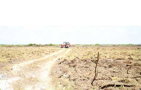 លោក​ឧកញ៉ា សុខ ប៊ុន ពុំ​ប្រព្រឹត្ត​ដូច​ការចោទប្រកាន់​នោះ​ឡើយ​