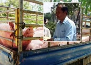 ប្រធាន​ពេទ្យសត្វ​ខេត្តតាកែវ​ លោក ថៃ លីសប្បាយ​ប្រមូលប្រាក់​តាមរយៈ​ឈ្មួញ​នាំ​គោក្របី ជ្រូក មាន់​ទា ពី​ប្រទេស​វៀតណាម​