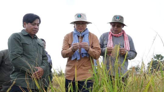 ឯកឧត្តម​រដ្ឋមន្ដ្រី ឌិ​ត ទីណា អញ្ជើញ​ចុះ​ពិនិត្យ​ការ​ច្រូតស្រូវ​សែន​ក្រអូប​០១ និង​ជួប​សំណេះសំណាល​ជាមួយ​សហគមន៍​កសិកម្ម​ទំនើប​អភិវឌ្ឍន៍​ដំណាំ​ស្រូវ​កំពង់ធំ នៅ​ខេត្ត​កំពង់ធំ​