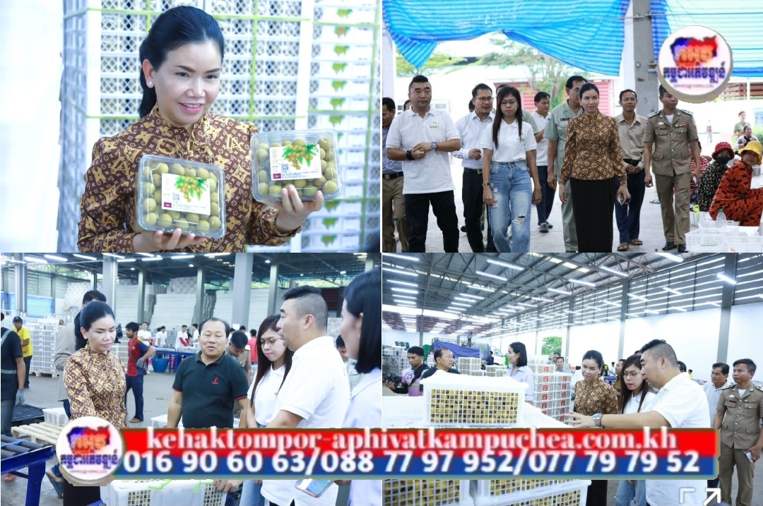 អភិបាលខេត្តប៉ៃលិន អញ្ជើញចុះពិនិត្យមើលសង្វាក់ផលិតកម្ម របស់ក្រុមហ៊ុនវេចខ្ចប់ផ្លែមៀនប៉ៃលិន នាំចេញទៅប្រទេសចិន