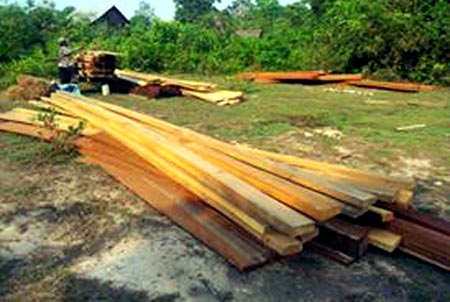 លោក ជុំ សារ៉ុន មេ​ប៉ុស្តិ៍​ឃុំ​មាន​រិទ្ធិ​ប្រើ​អំណាច​អា​ឈើ​នៅ​តំបន់​ព្រៃ​ឡង់​យ៉ាង​រង្គាល !