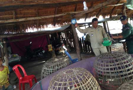 នគរបាល ស្រុកថ្មពួកចុះបង្ក្រាបល្បែងជល់មាន់និងធ្វើការឃាត់ខ្លួន ម្ចាស់ទីតាំងដកហូតមាន់៣ក្បាលនិងម៉ូតូ៧គ្រឿង