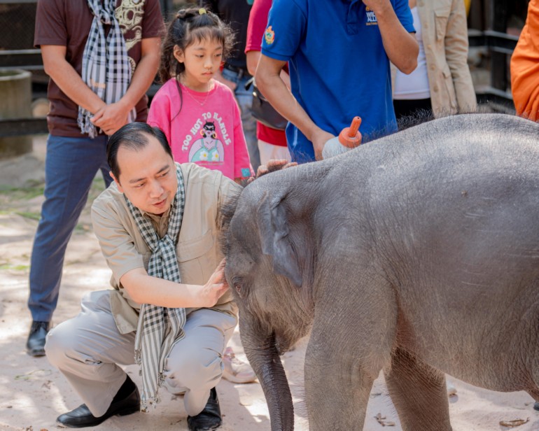 ឯកឧត្តម រដ្ឋមន្ត្រី នេត្រ ភ​ក្ត្រា ដឹកនាំ​សមាជិក​សមាគម​មូលនិធិ​អភិរក្ស​ដំរី​អៃ​រា​វត្តា​ខ្មែរ ទៅ​មើល​ការថែទាំ​កូនដំរី​ឈ្មោះ «​លំផាត់​» នៅ​សួនសត្វ​ភ្នំ​តា​ម៉ៅ ដើម្បី​បង្ហាញ​នូវ​ក្តីស្រឡាញ់​ចំពោះ​សត្វព្រៃ