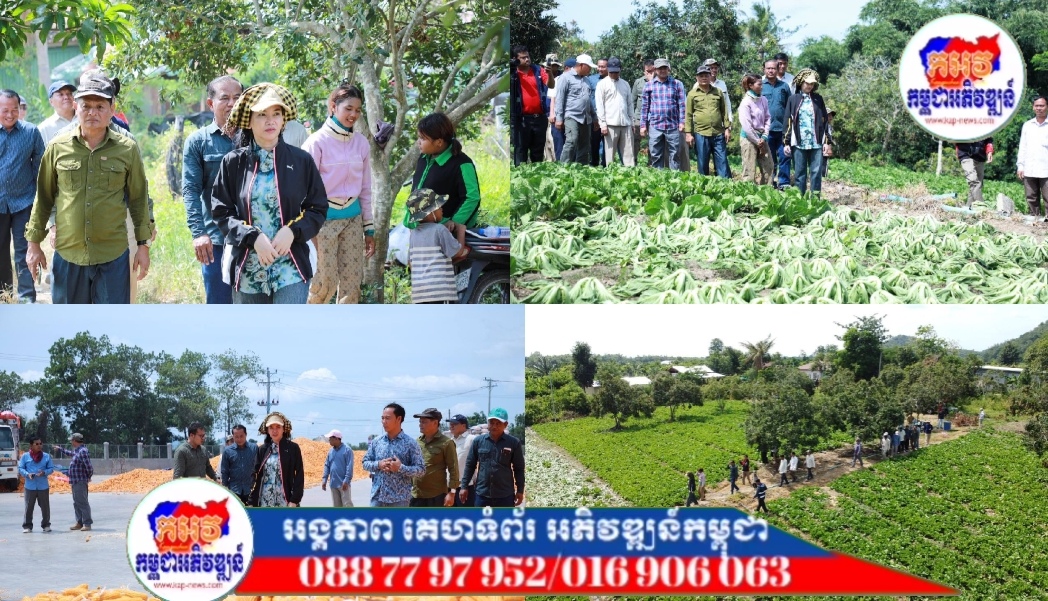 អភិបាលខេត្តប៉ៃលិន ជំរុញឱ្យស្ថាប័នជំនាញពាក់ព័ន្ធ បន្តរកទីផ្សារជូនប្រជាកសិករ បើទោះបីជាទីផ្សារ ក្នុងខេត្តបច្ចុប្បន្នកំពុងមានភាពល្អប្រសើរក៏ដោយ