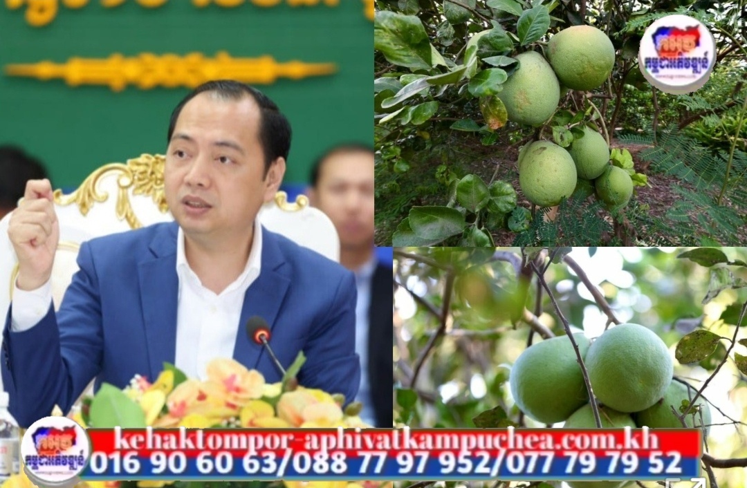 ឯកឧត្តម នេត្រ ភក្ត្រា អំពាវនាវដល់ប្រជាពលរដ្ឋនៅសង្កាត់កោះទ្រង់ ខេត្តក្រចេះ ឱ្យបន្តយកចិត្តទុកដាក់ថែរក្សាពូជក្រូចថ្លុង ដែលជាដំណាំសម្គាល់ភូមិសាស្ត្រ GI ដ៏មានតម្លៃរបស់តំបន់នេះ
