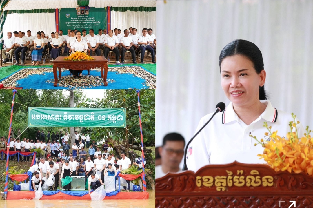 ខេត្តប៉ៃលិន លែងកូនត្រីចម្រុះ និងមេពូជជិត ៣ម៉ឺនក្បាល ដើម្បីអបអរទិវាមច្ឆាជាតិ ១ កក្កដា ២០២៦